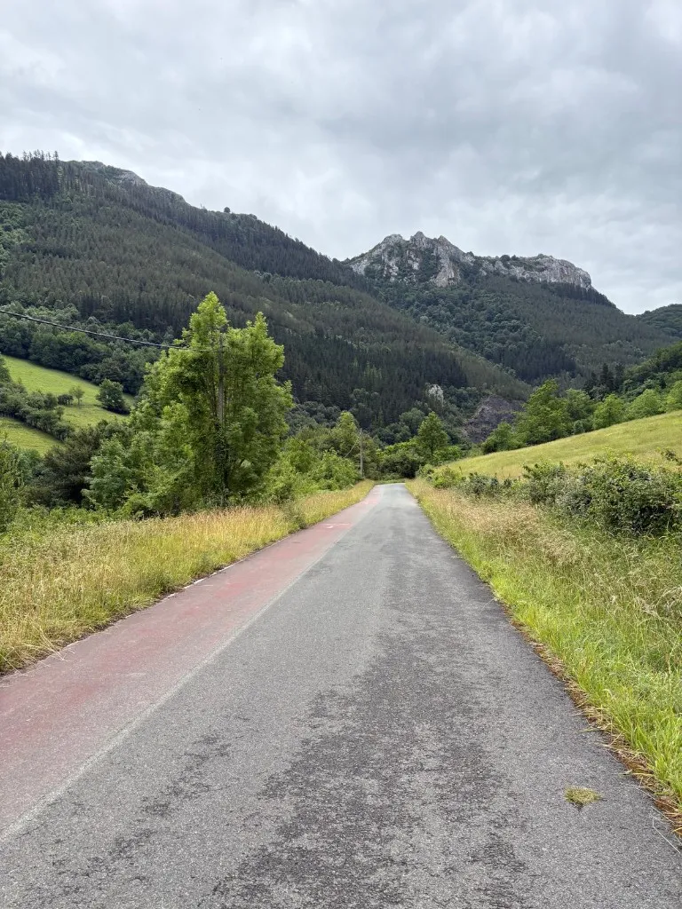 Carretera rural que se dirige hacia montañas boscosas bajo cielo nublado