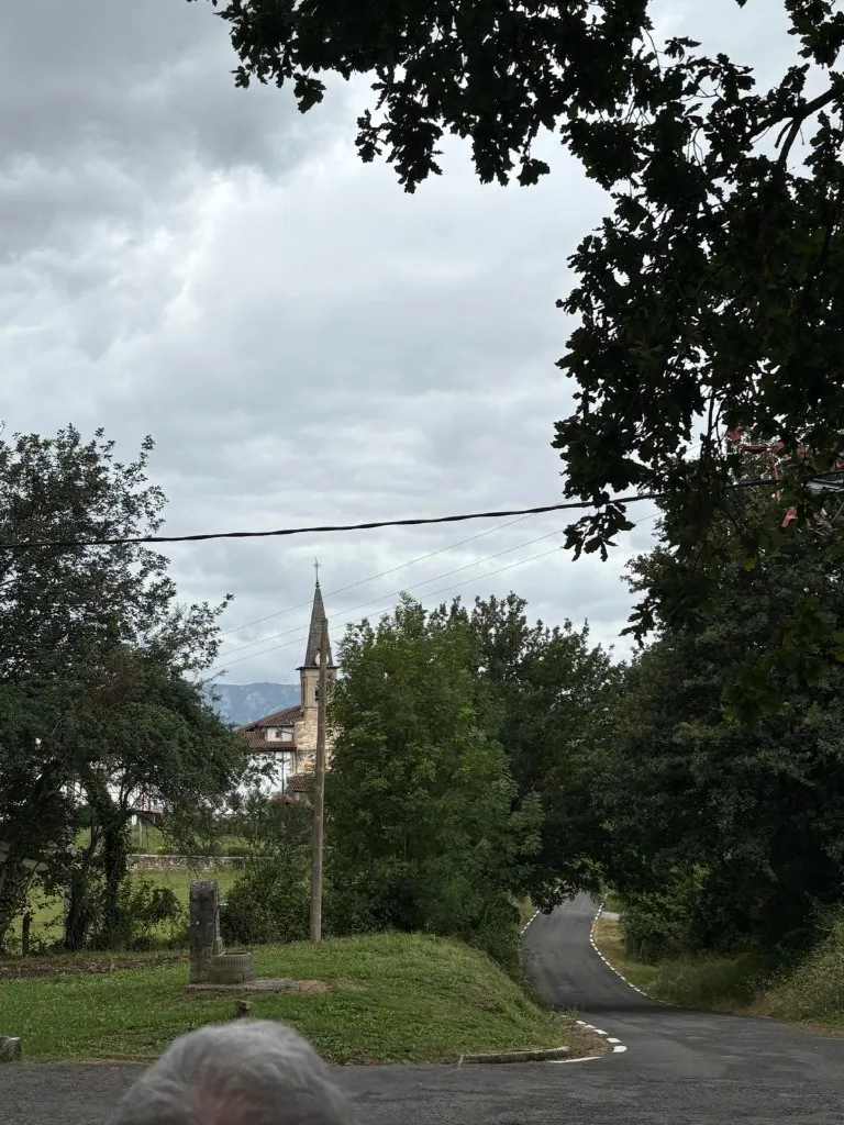Vista elevada de un camino y una iglesia con campanario entre árboles